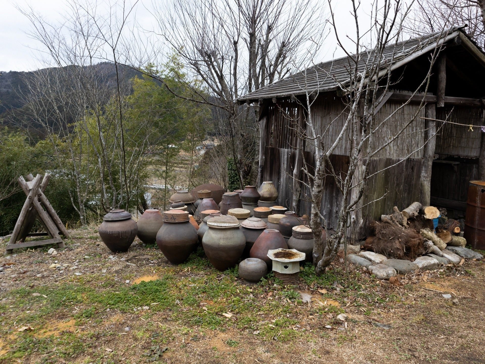 工房探訪記】高野山で見た森岡成好さん、由利子さんの焼き物屋