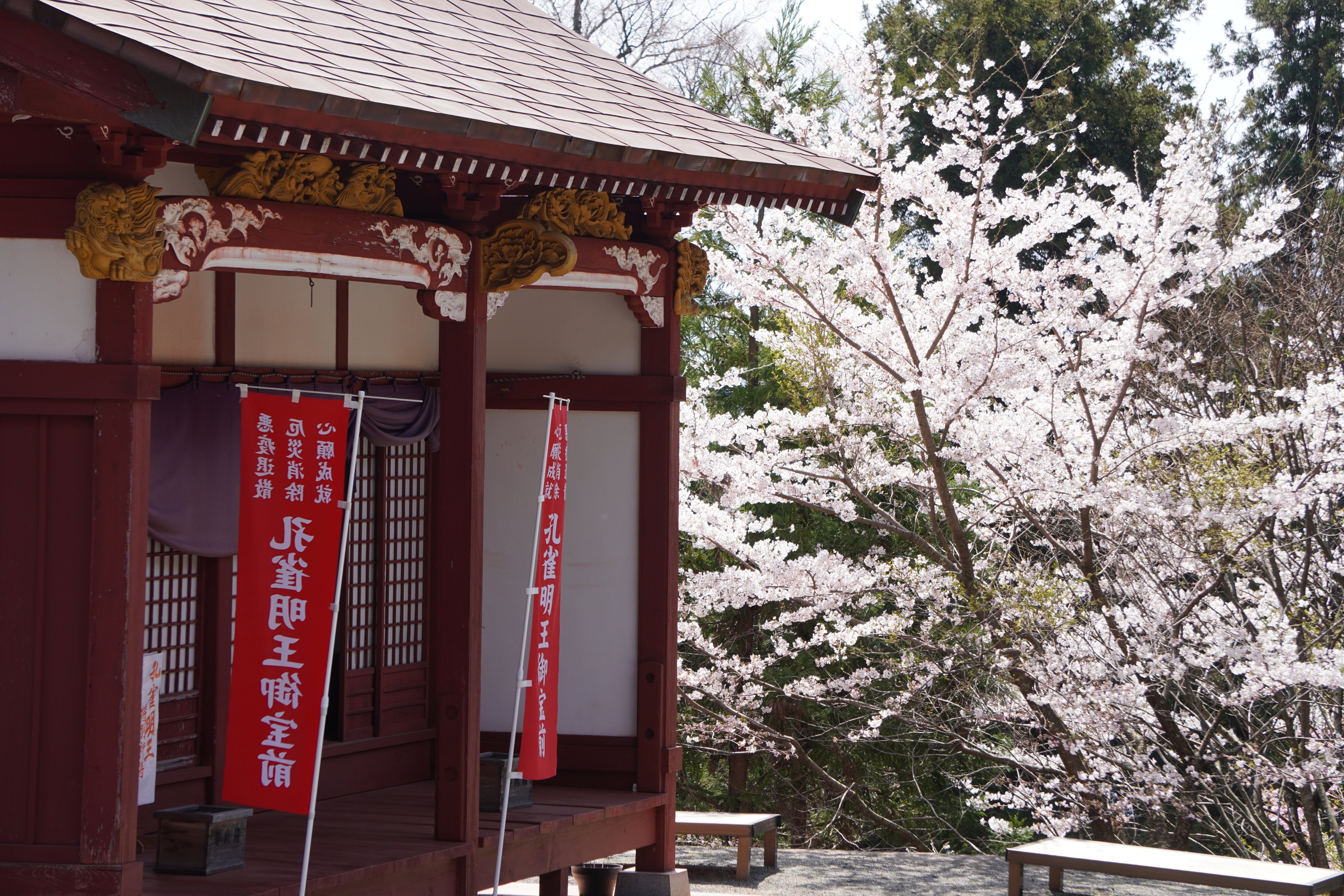 ☆希少限定記念ノベルティー『無我』お皿成相山成相寺 日本三景天橋立