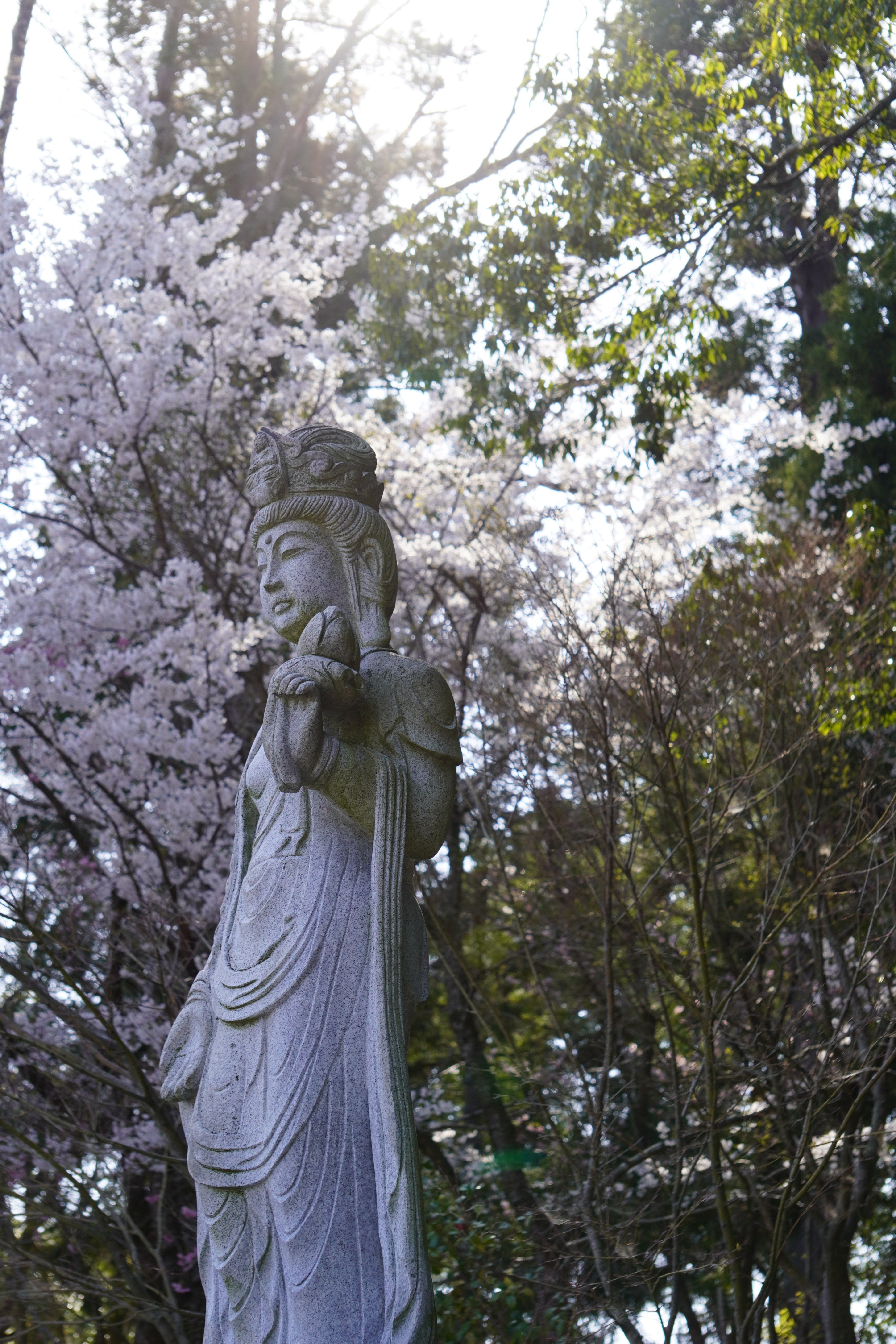 ①☆希少限定記念ノベルティーお皿成相山成相寺 日本三景天橋立 西国二十八番 ①☆希少限定記念ノベルティーお皿成相山成相寺 日本三景