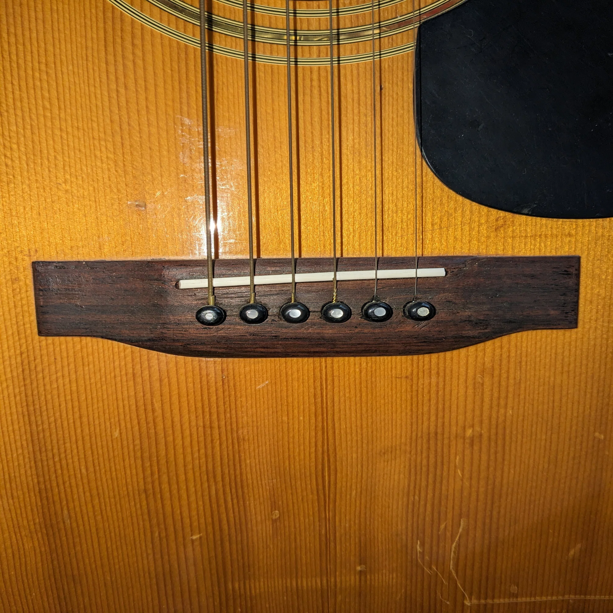 Morris W-30(1973)｜ボーンアンドスキンA