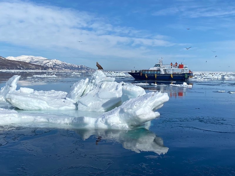 冬の知床半島ならではの流氷、観光船とオジロワシ、凍結したオシンコシンの滝 冬の知床半島ならではの流氷、観光船とオジロワシ、凍結したオシンコシンの滝