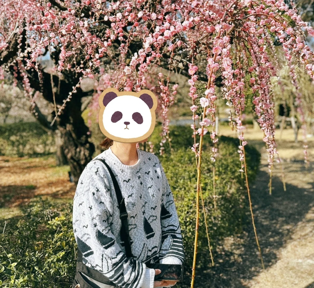 ヨットの上をカモメが飛んでるセーター