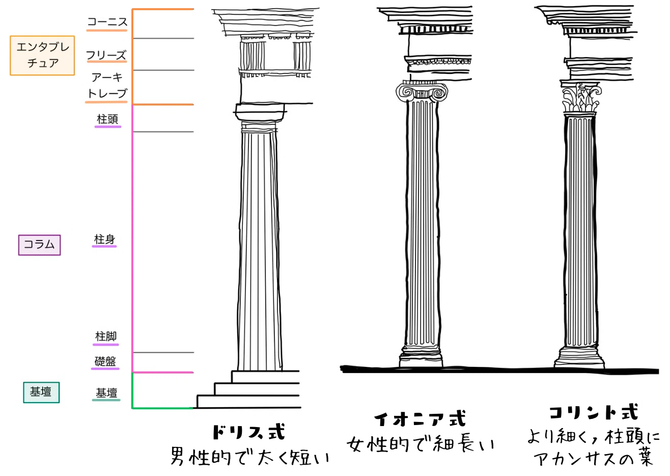 西洋建築史】ギリシャ建築のオーダー｜荘司 和樹（しょうじ かずき）