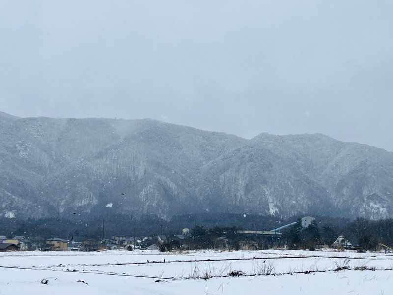 久しぶりの降雪。2月下旬なのに、雪が降るのが『久しぶり』というだけでも、本当に雪が降らない(降りにくい)年だなぁと思う。これが今後のスタンダードになってゆくのか。。。微力でも、できることから少しずつ。　　いつもありがとうございます！愛と光と感謝を込めて💫