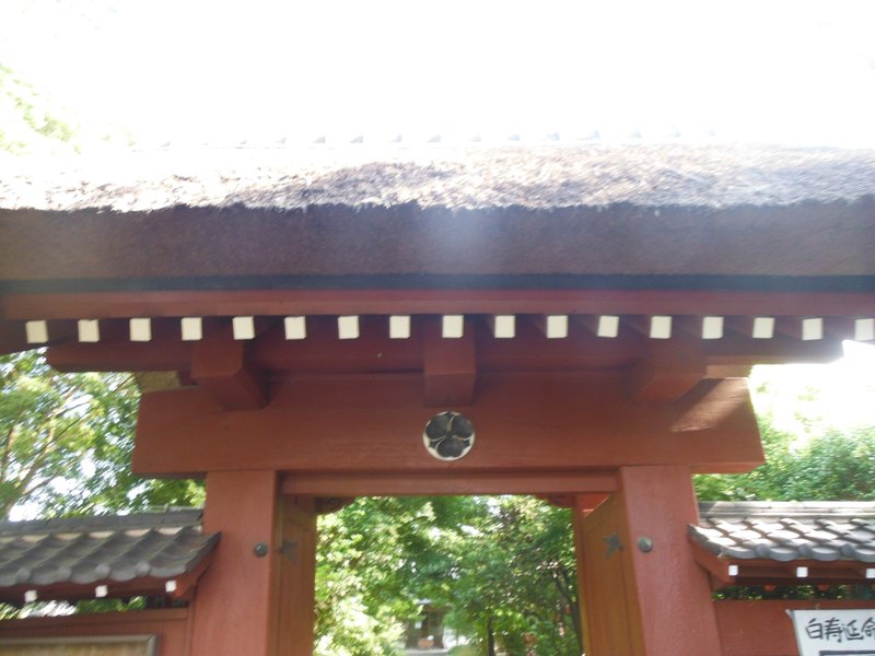 醍醐新兵衛の時代に 酒井忠朝の足跡|夢酔藤山