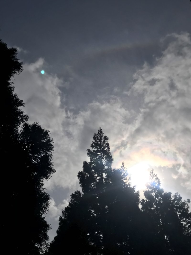 満月の日、天橋立の籠神社（このじんじゃ）と眞名井神社にむす日詣りしました。籠神社の裏側の道で空を見上げるとご神木の上に彩雲とハロが出てました。iPhoneで撮ったので彩雲は露出オーバー、緑のゴーストも入ってしまいました。神社なので「オーブ」と呼んだ方がウケがイイと教えてもらいましたが、写真を撮る者としてはゴースト（幽霊）のほうがシックリとしますｗ