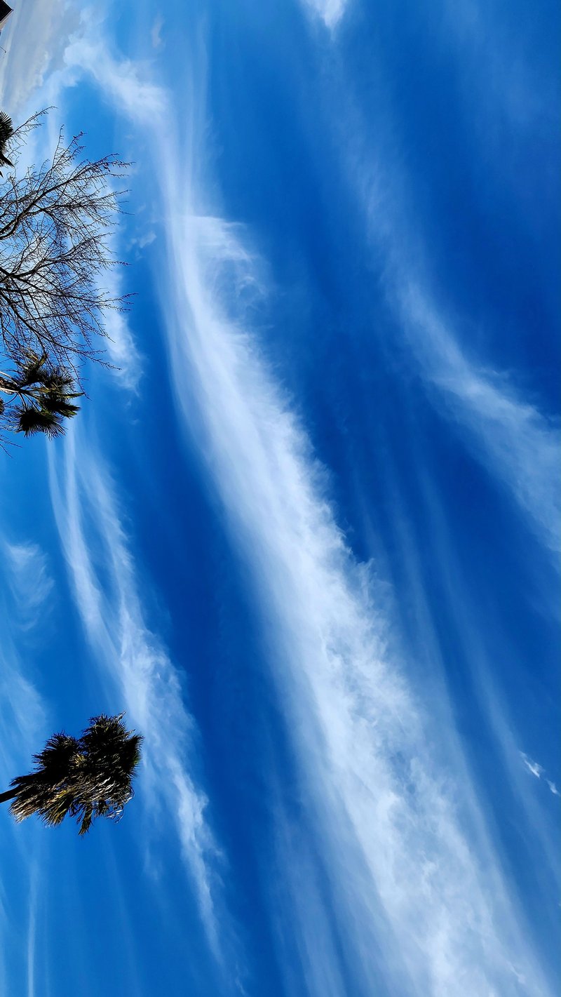 今日の空も素敵だ✨