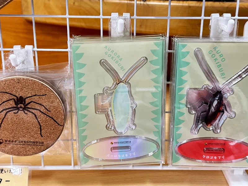 竜洋昆虫自然観察公園でゴキブリグッズを発売中！｜竜洋昆虫自然観察公園