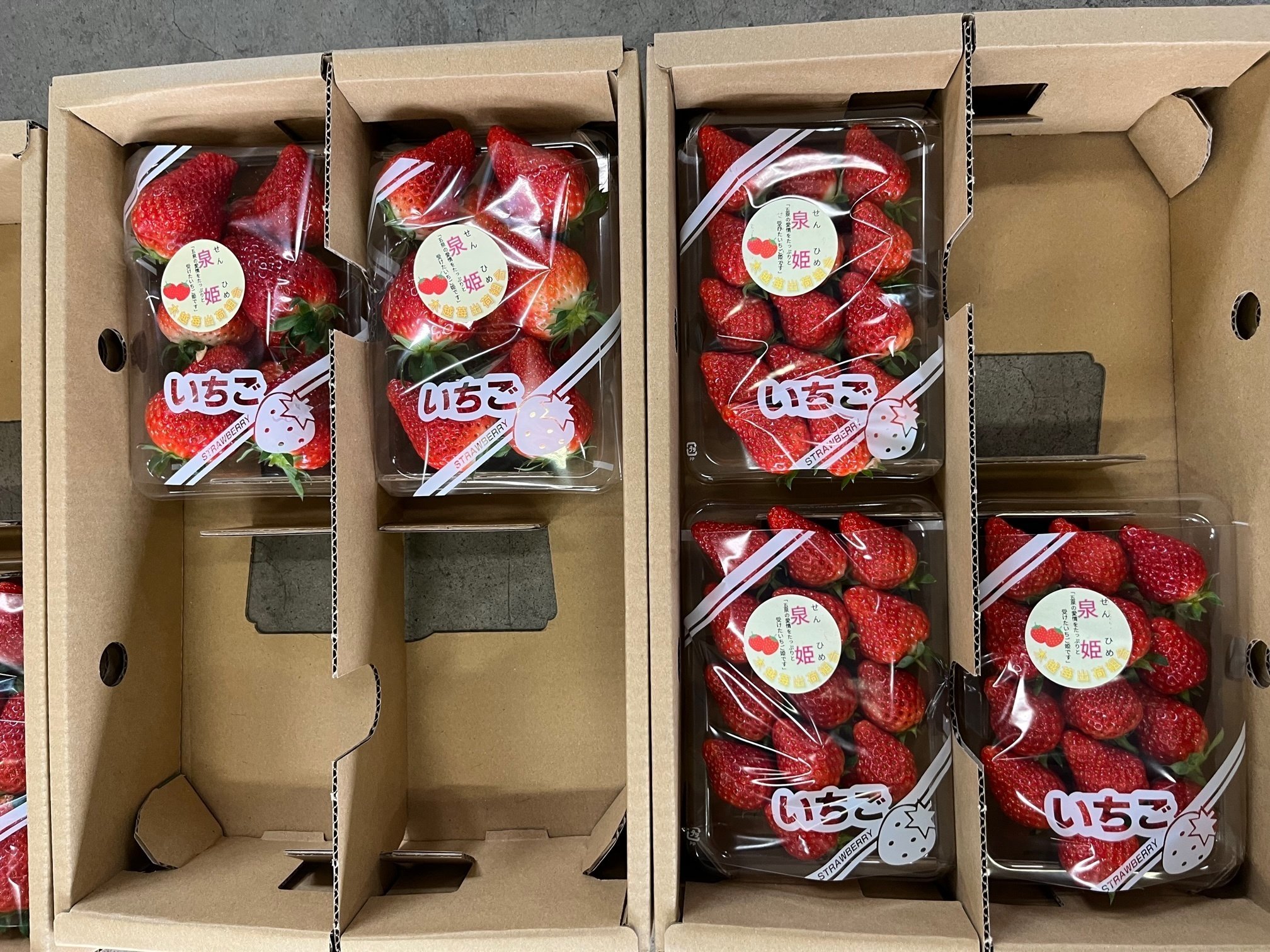 越後姫の出荷が始まっています！～可憐でみずみずしい新潟の