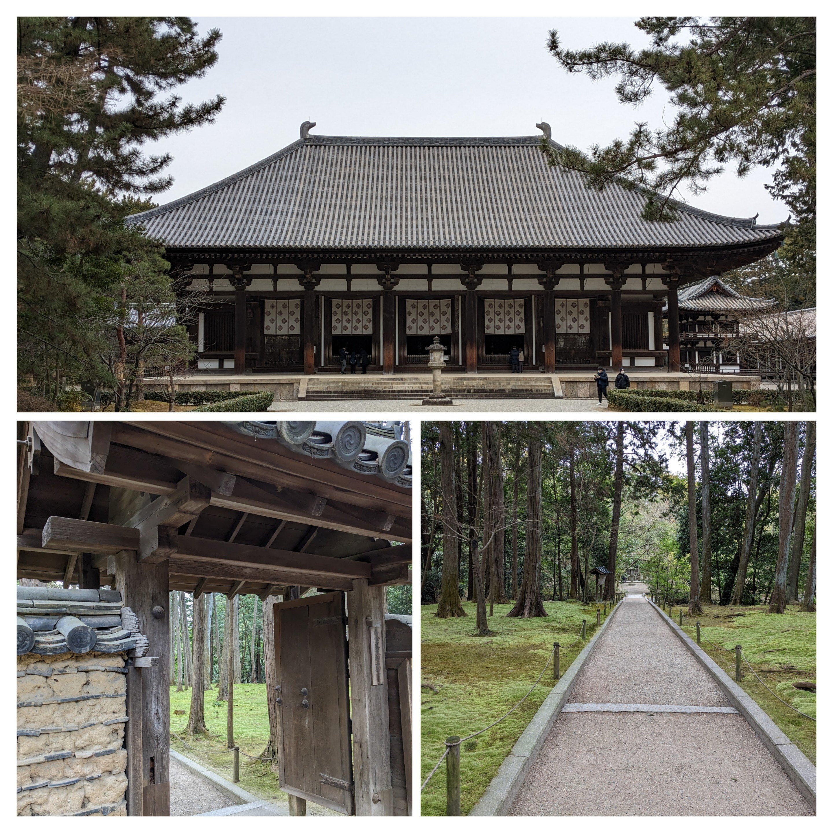 奈良にめざめる⑤薬師寺・唐招提寺｜丸山直己