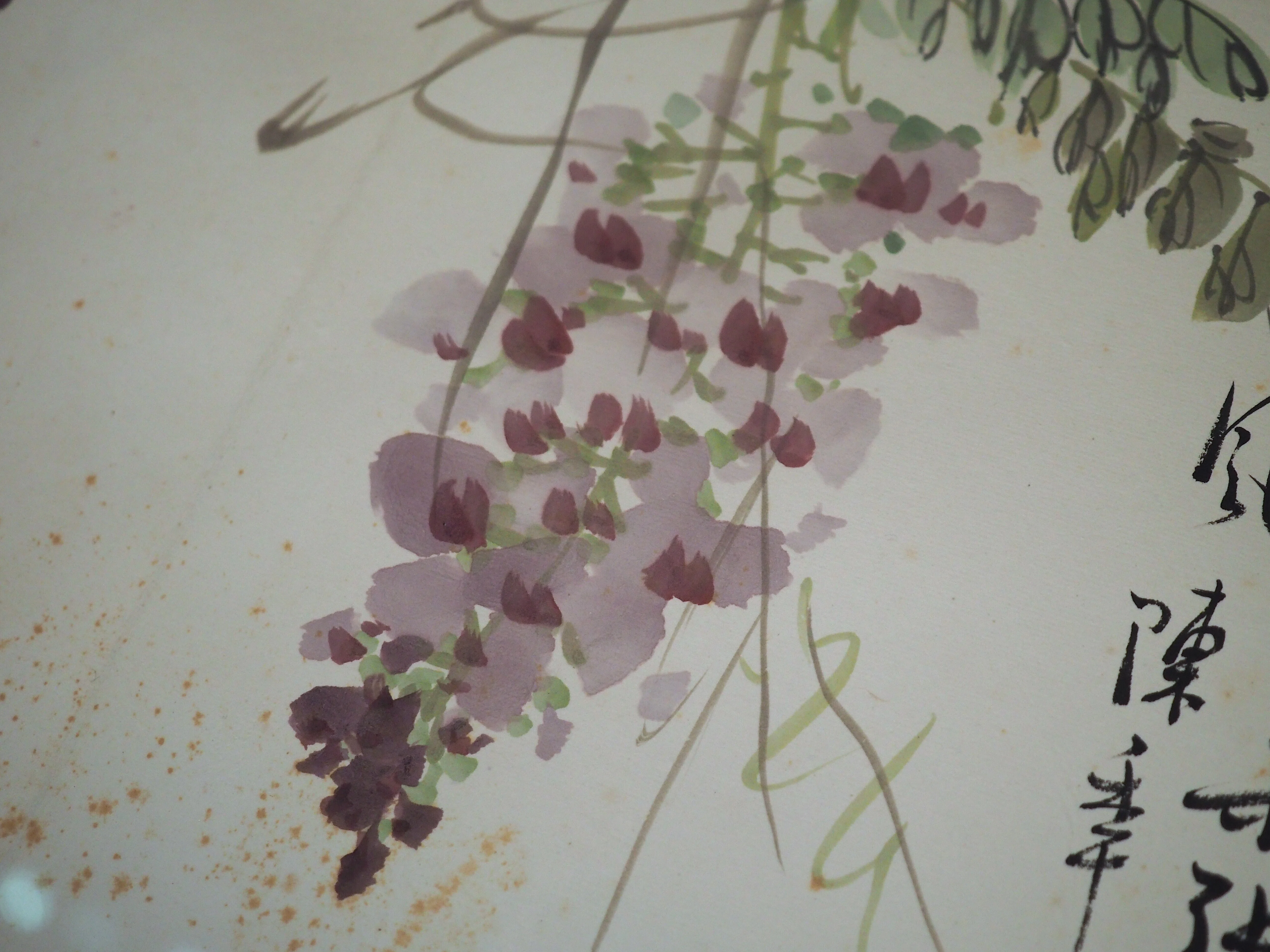 誰なのか分からないまま『呉昌碩の世界』後期展示を観てきました