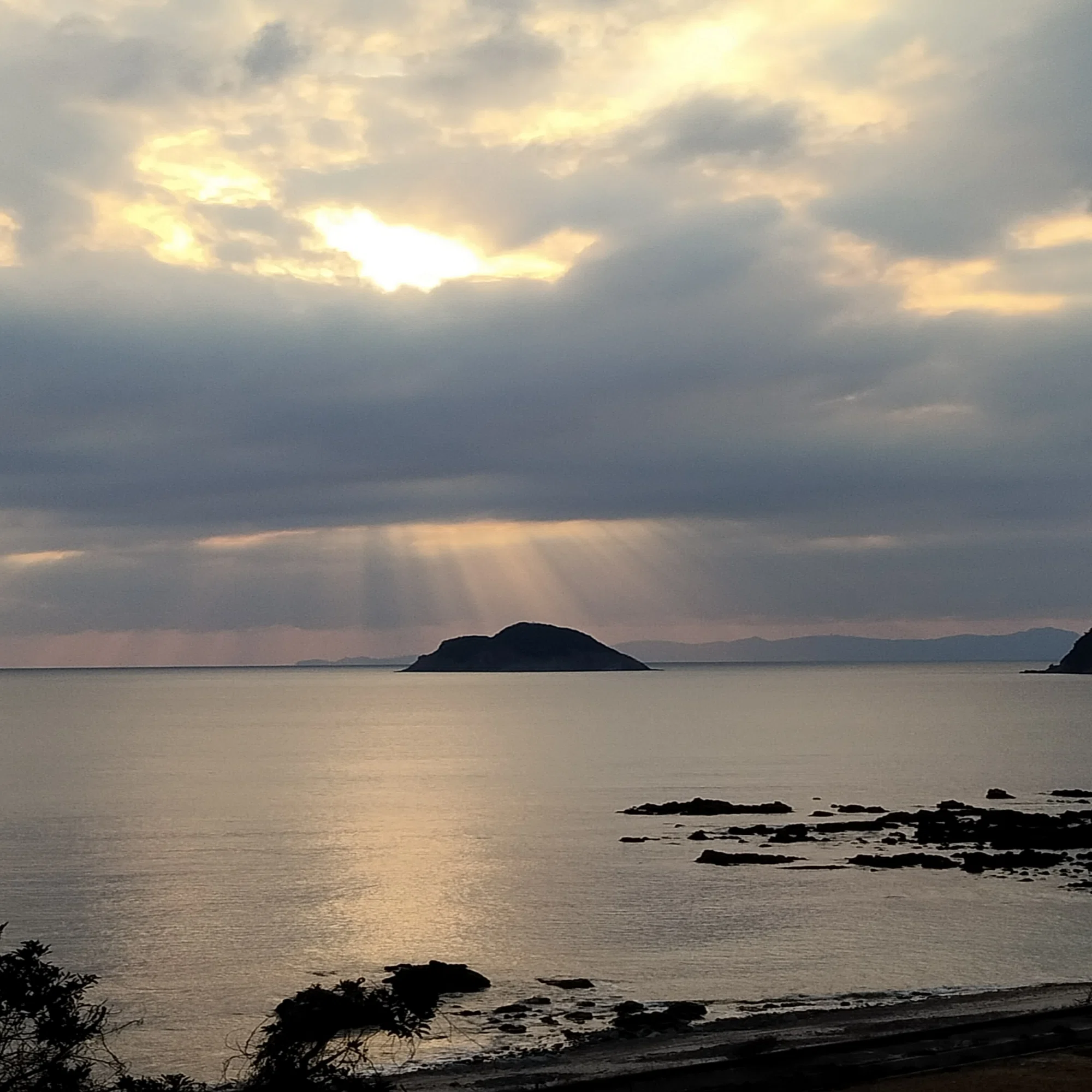 夕陽｜るる