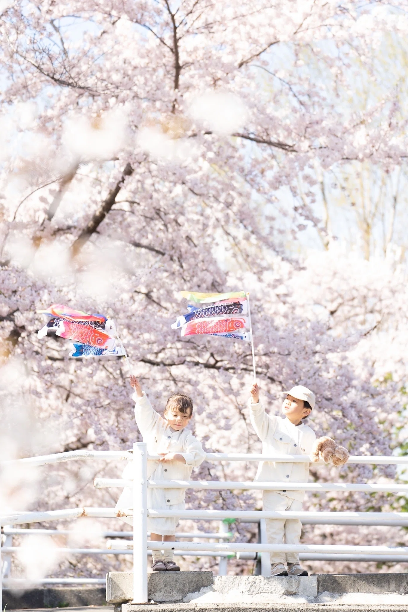 SUNRISE PHOTO 桜2025｜SUNRISE PHOTO