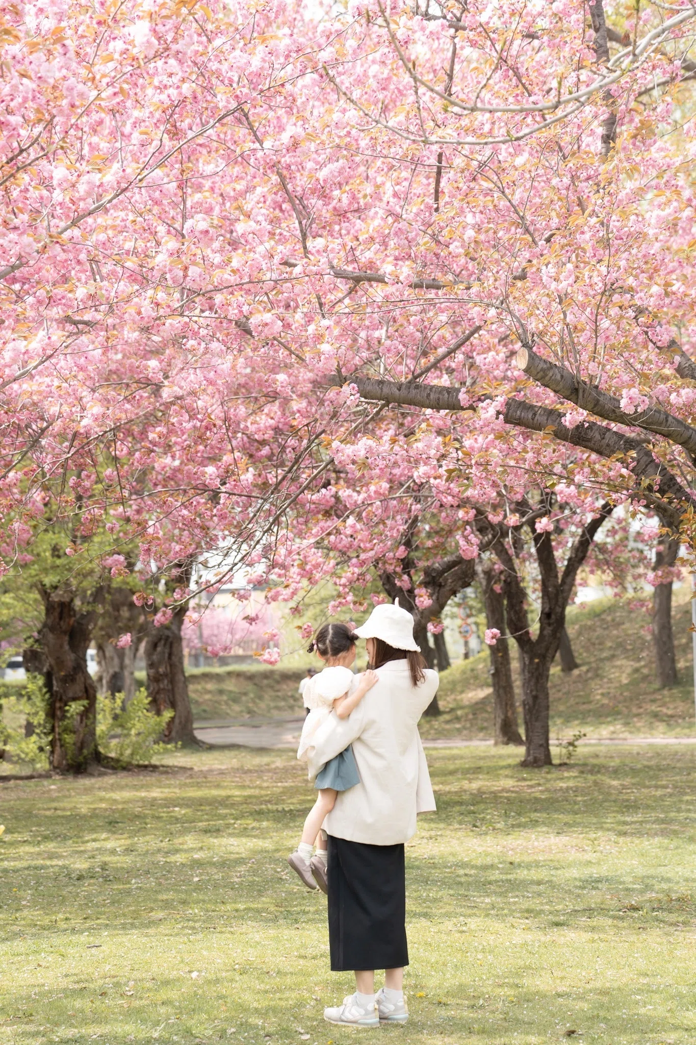 SUNRISE PHOTO 桜2025｜SUNRISE PHOTO