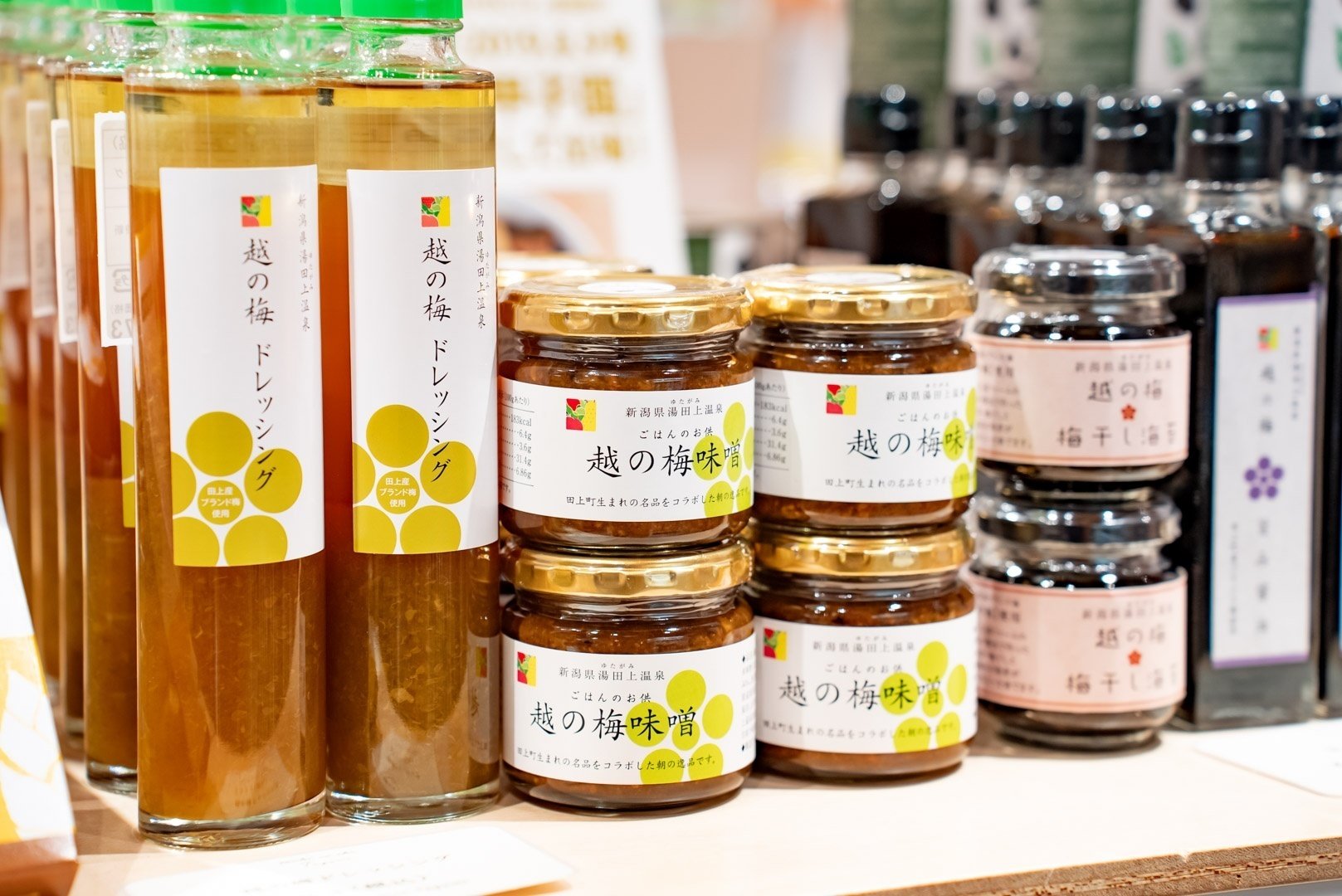 ウメを推す】梅は松より下なの？松竹梅の順位付けにもの申したい｜新潟