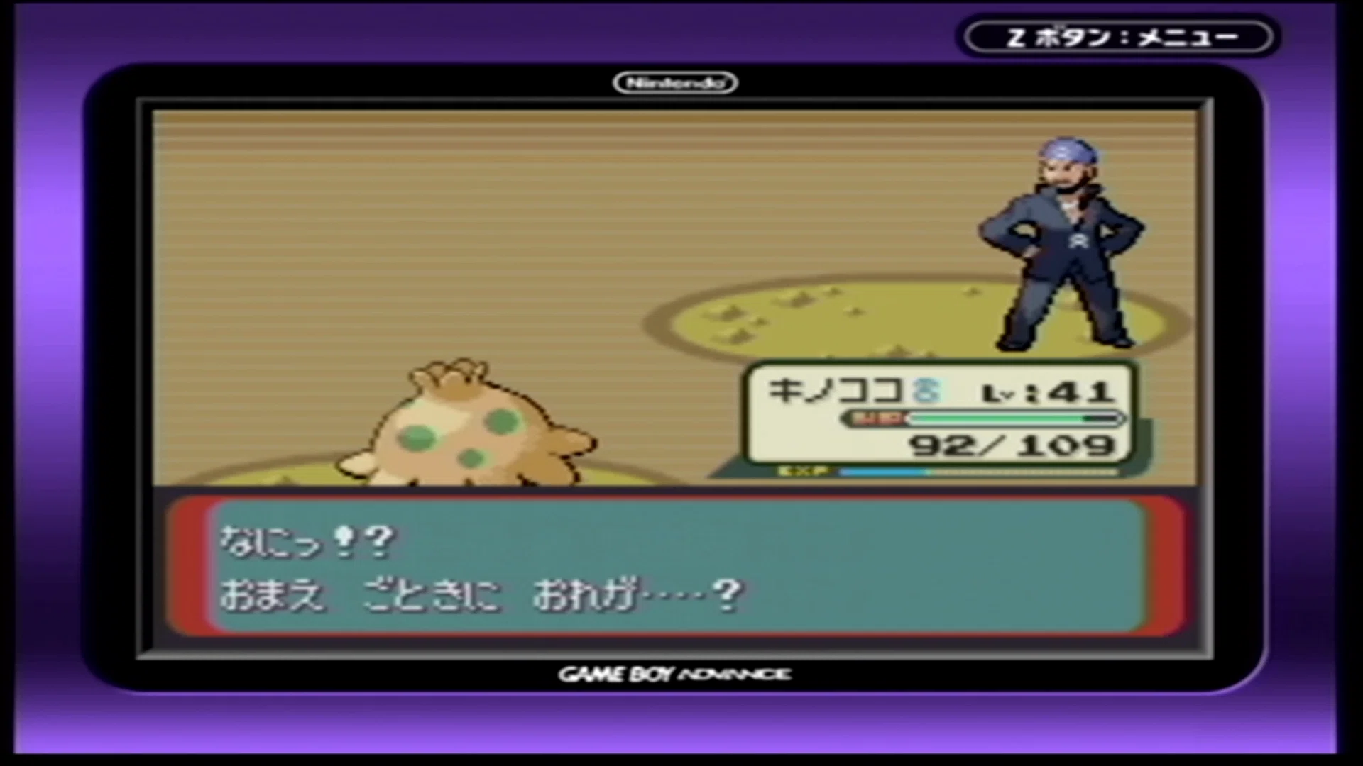 Reポケ #2】エメラルド殿堂入りまでを終えて｜ニゲラ