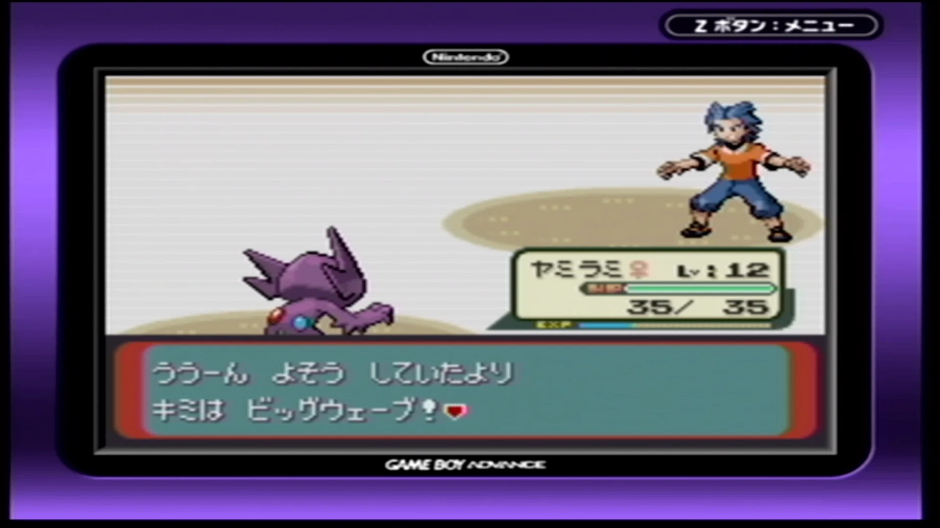 Reポケ #2】エメラルド殿堂入りまでを終えて｜ニゲラ