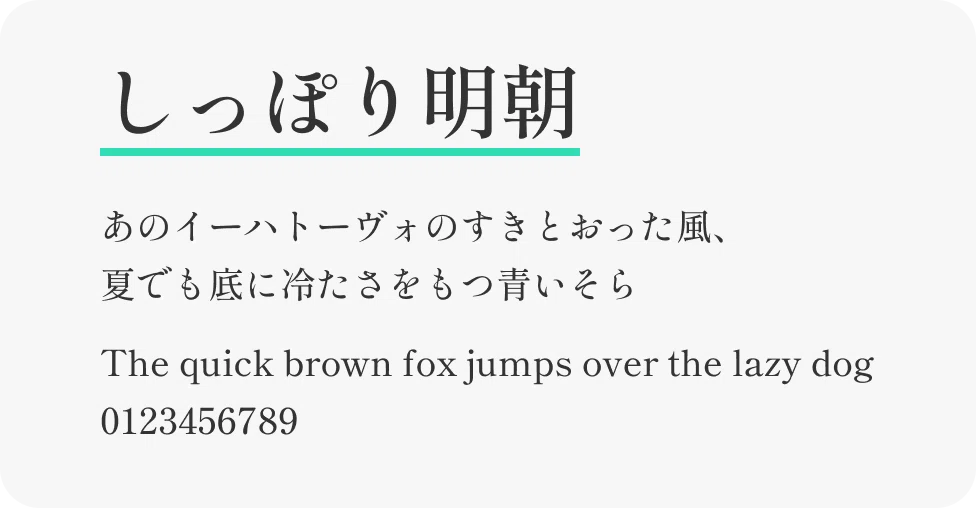 字体比較 Webサイトでよく見る明朝体を比べてみよう｜canda