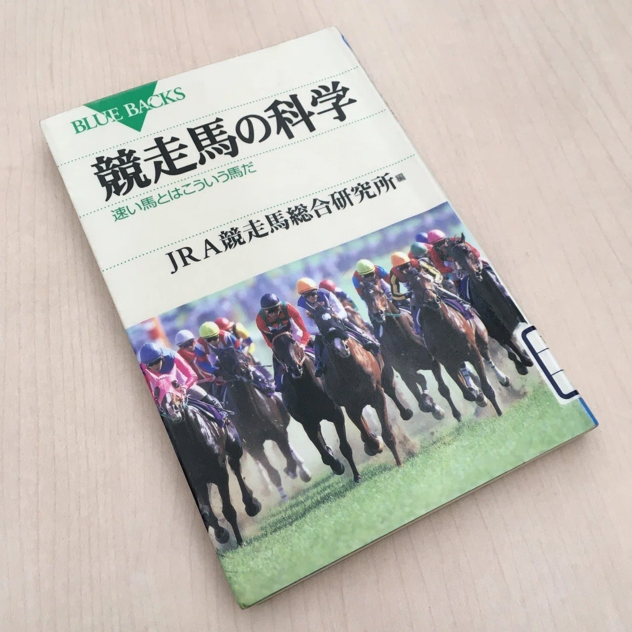 初めての競馬、1000円でもアツくなれる大白熱エンタメだと知る｜雪野