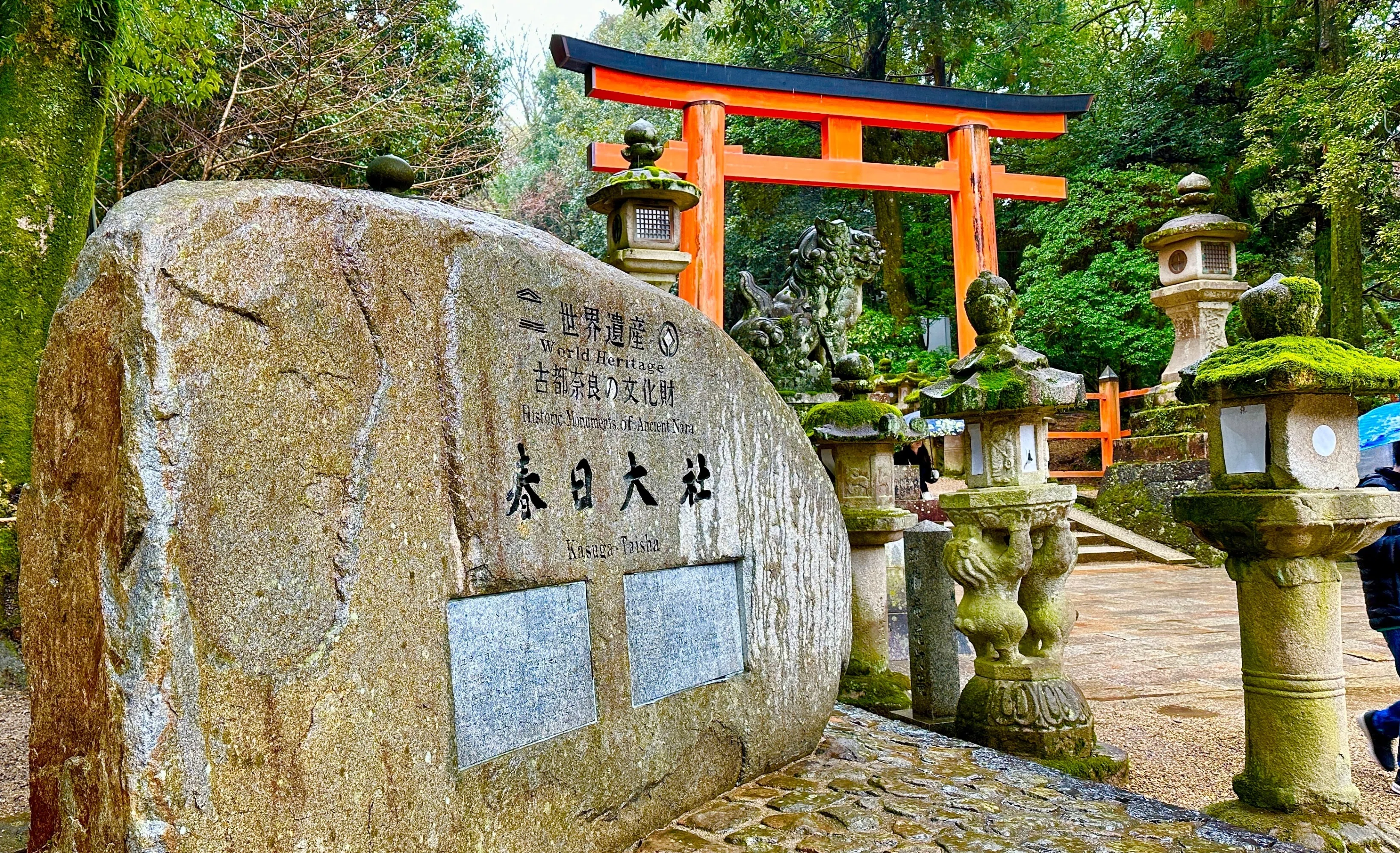 奈良時間.jp】第3回 世界遺産としての春日大社：歴史と自然の調和