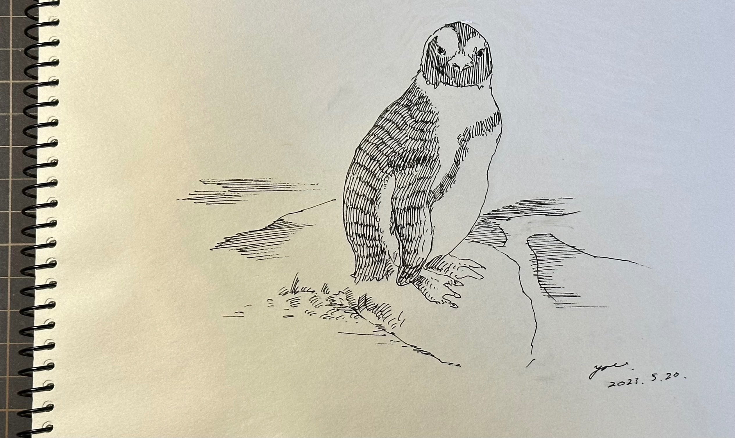 描くと思考がまとまる！クロッキー帳は優秀な思考ツールだと思う