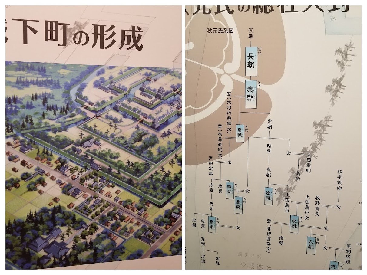 Amazon.co.jp: c44上野国下野国肉筆 古地図 2舗群馬県 栃木県