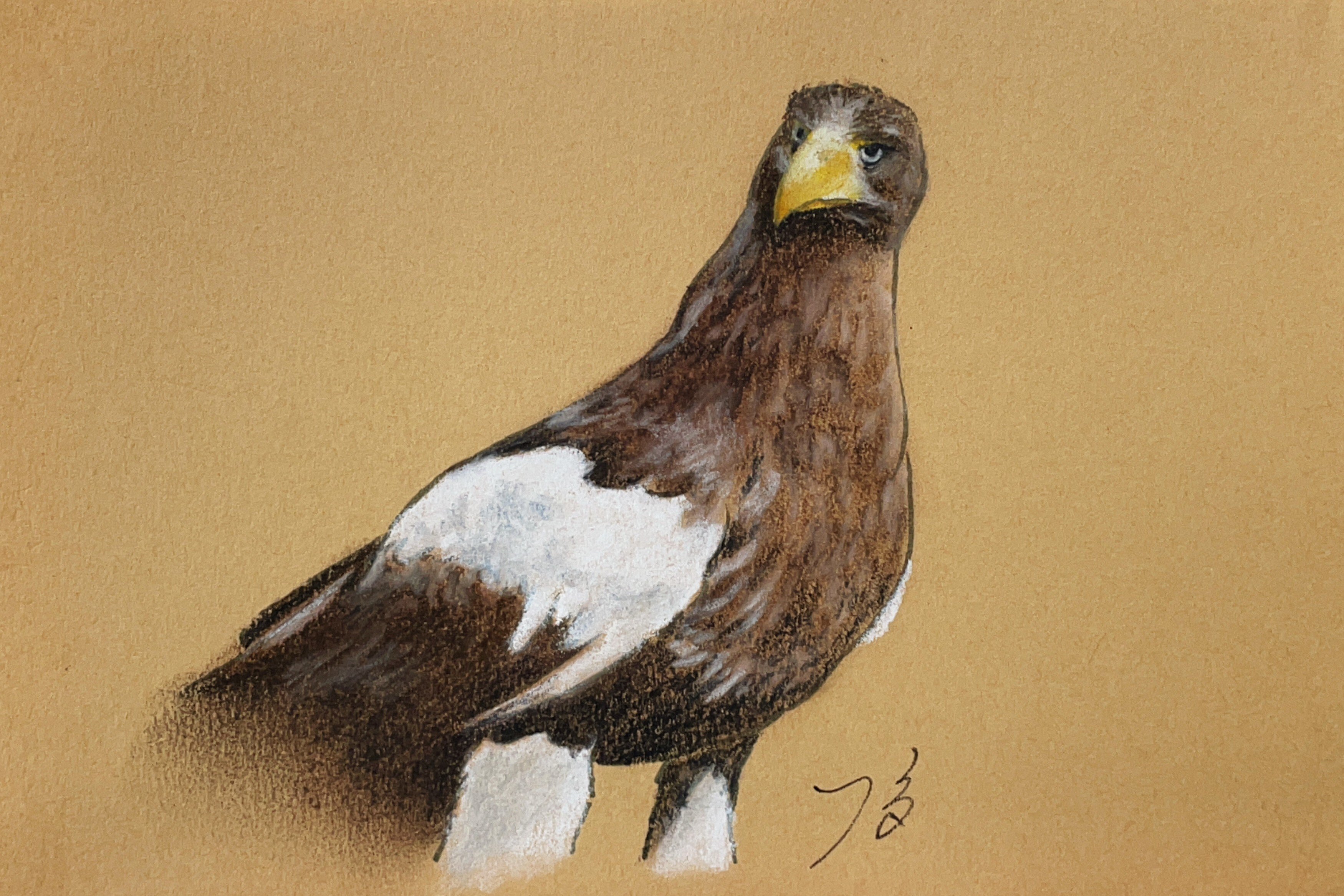 川岸にいる鳥　パステル画 川岸にいる鳥 パステル画 絵画のようなパステルカラーの