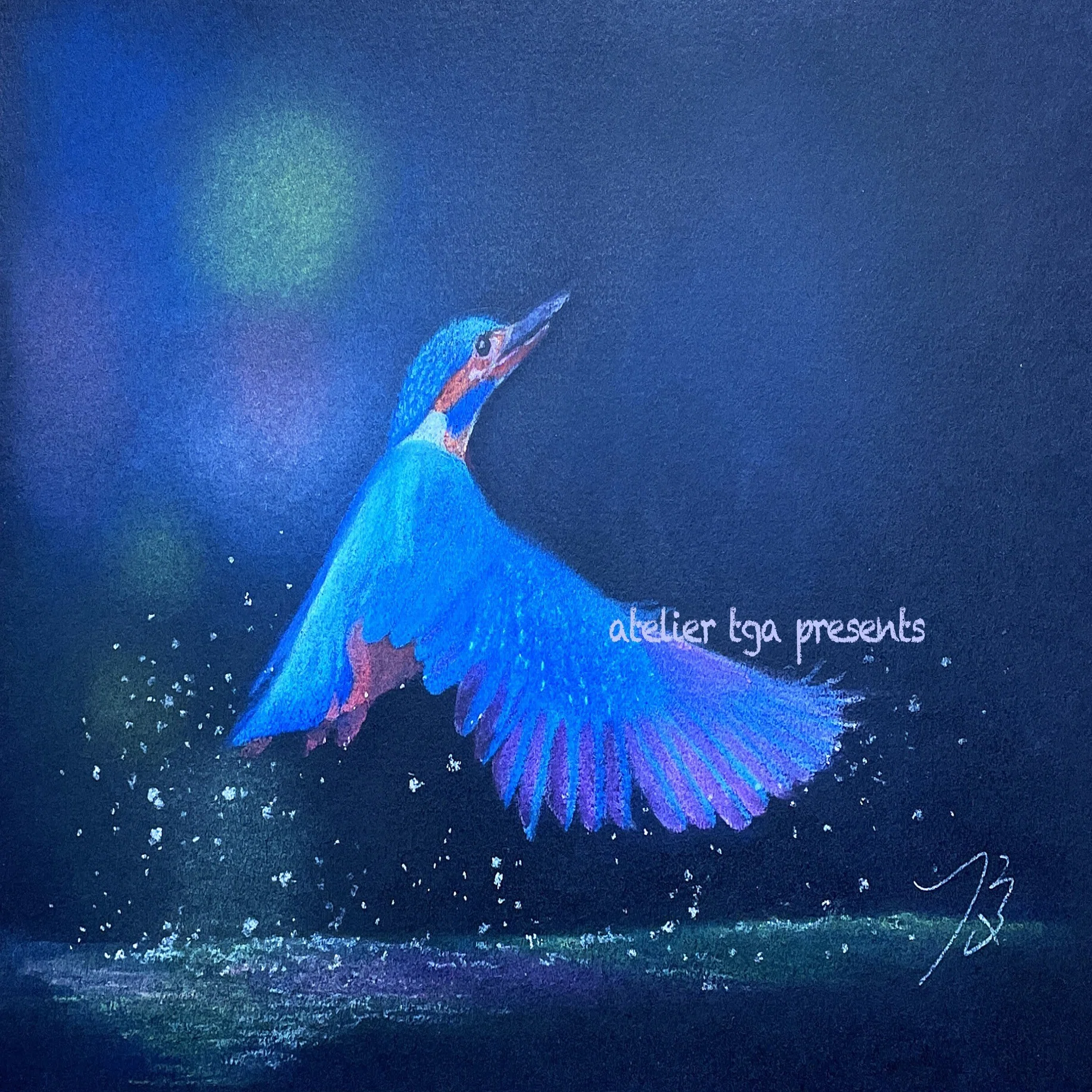 パステル画作品集]鳥にも色々ありまして｜てぃーが Pastel Artist