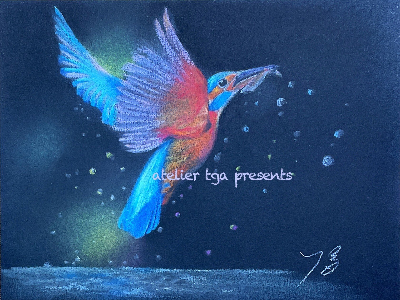 パステル画作品集]鳥にも色々ありまして｜てぃーが Pastel Artist