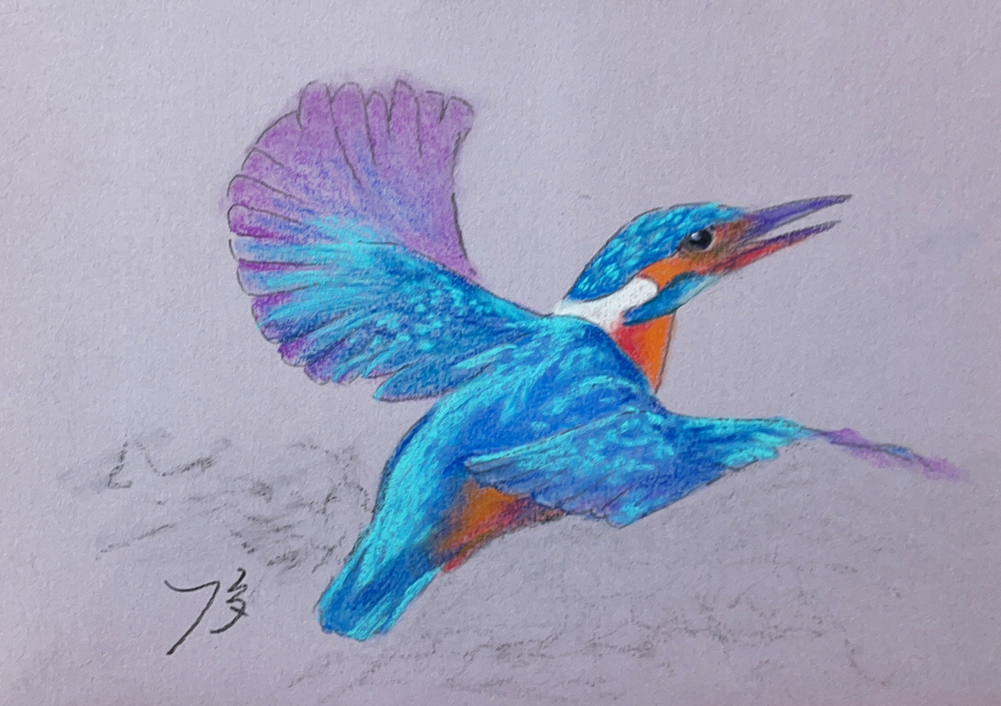川岸にいる鳥 パステル画