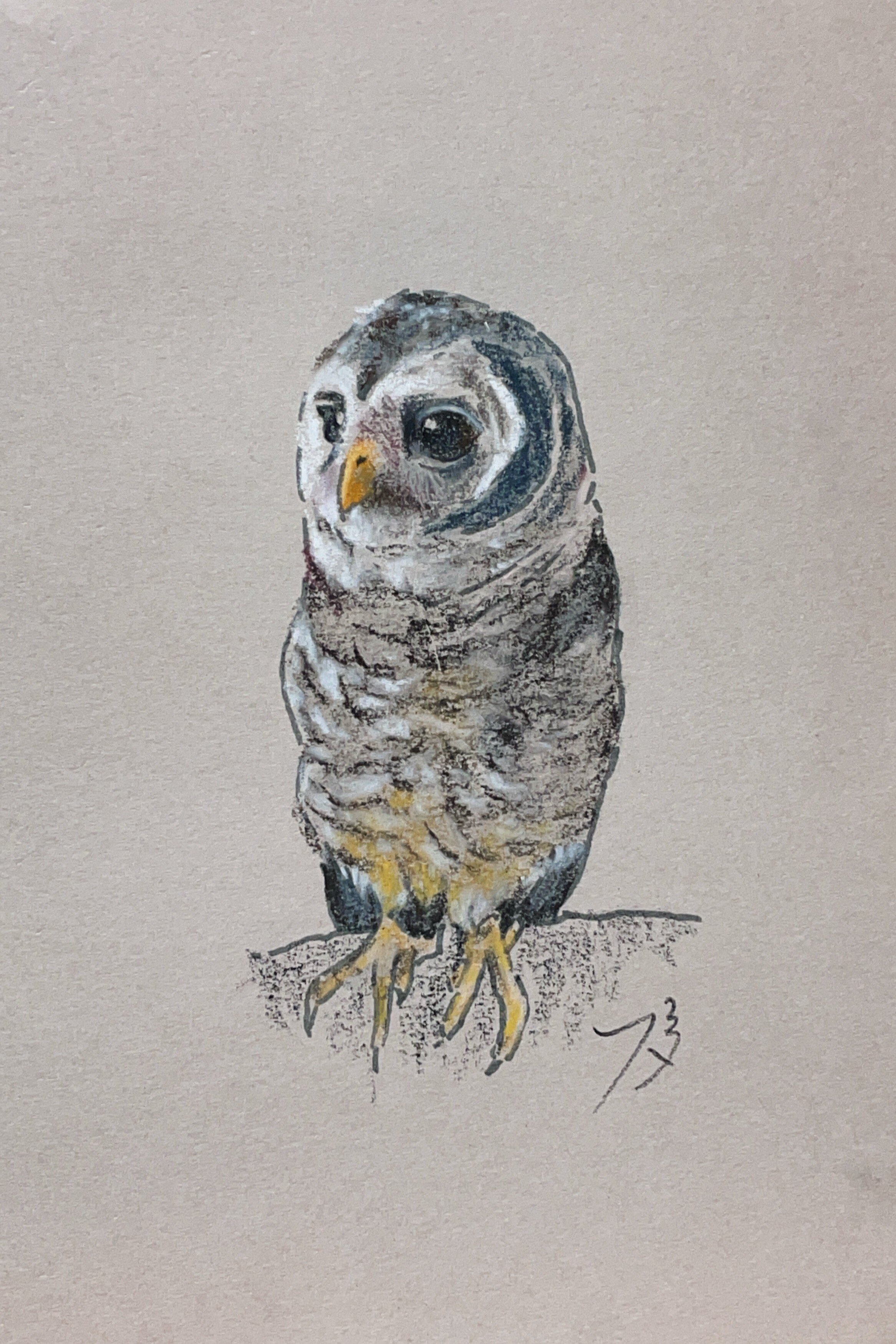 パステル画作品集]鳥にも色々ありまして｜てぃーが Pastel Artist