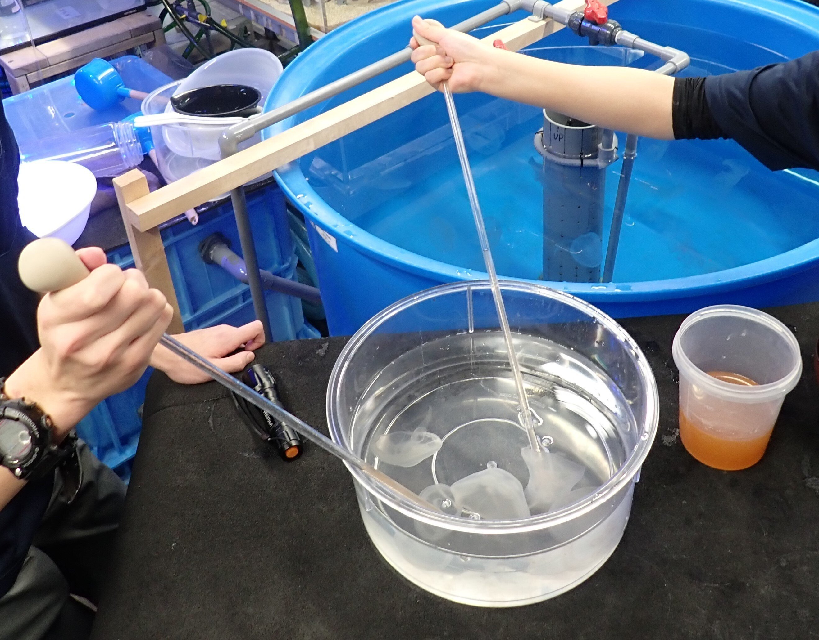 値下げ❗️水族館等に使われる倒木もどき(樹脂製) 引き摺り