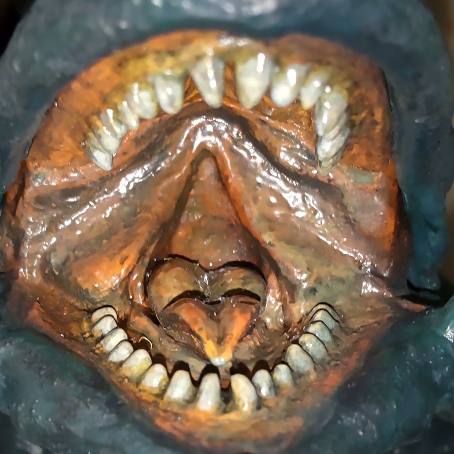 すごいガメラのソフビ ファルシオンガメラの制作記録｜アシム