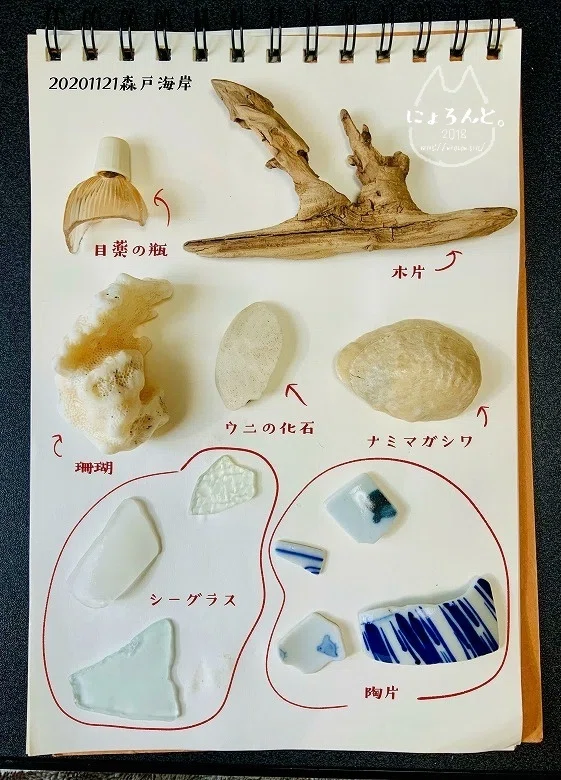 珊瑚に目薬の瓶に可愛い陶片！三浦半島・森戸海岸でビーチコーミング