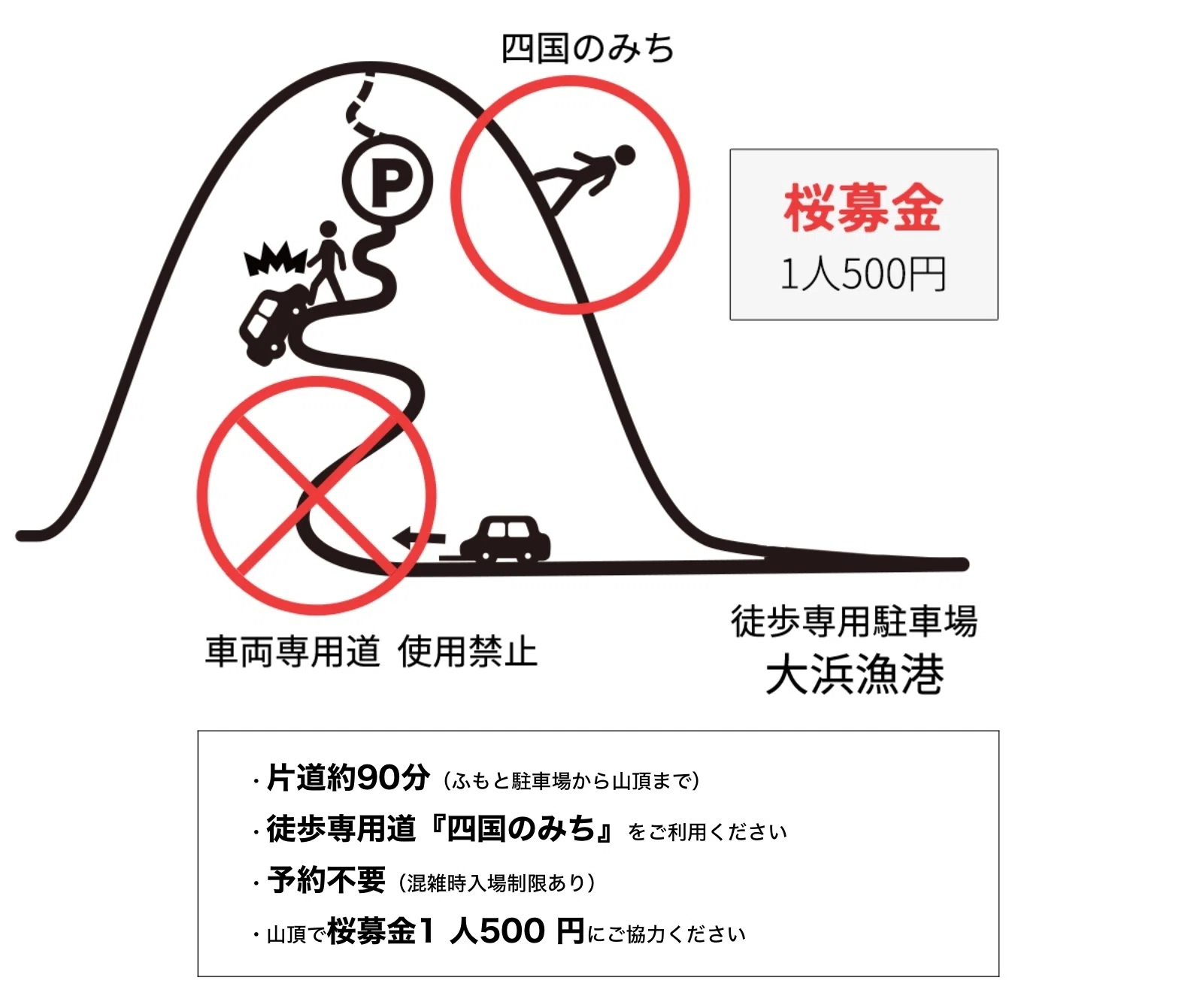 瀬戸内の多島美✖︎桜の絶景【紫雲出山】2024桜シーズン予約開始情報