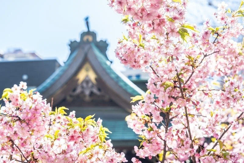 花の色は」に込められた超絶技巧 歌人・小野小町に迫る｜小野照崎神社