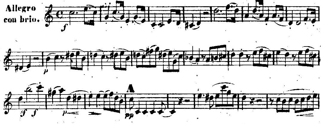 ヴァンハル：ピアノのための主題と変奏曲 ハ長調Weinmann XIVa:16 L.V.Beethoven / Pianoquartet E-flat major Op.16 】L.V.