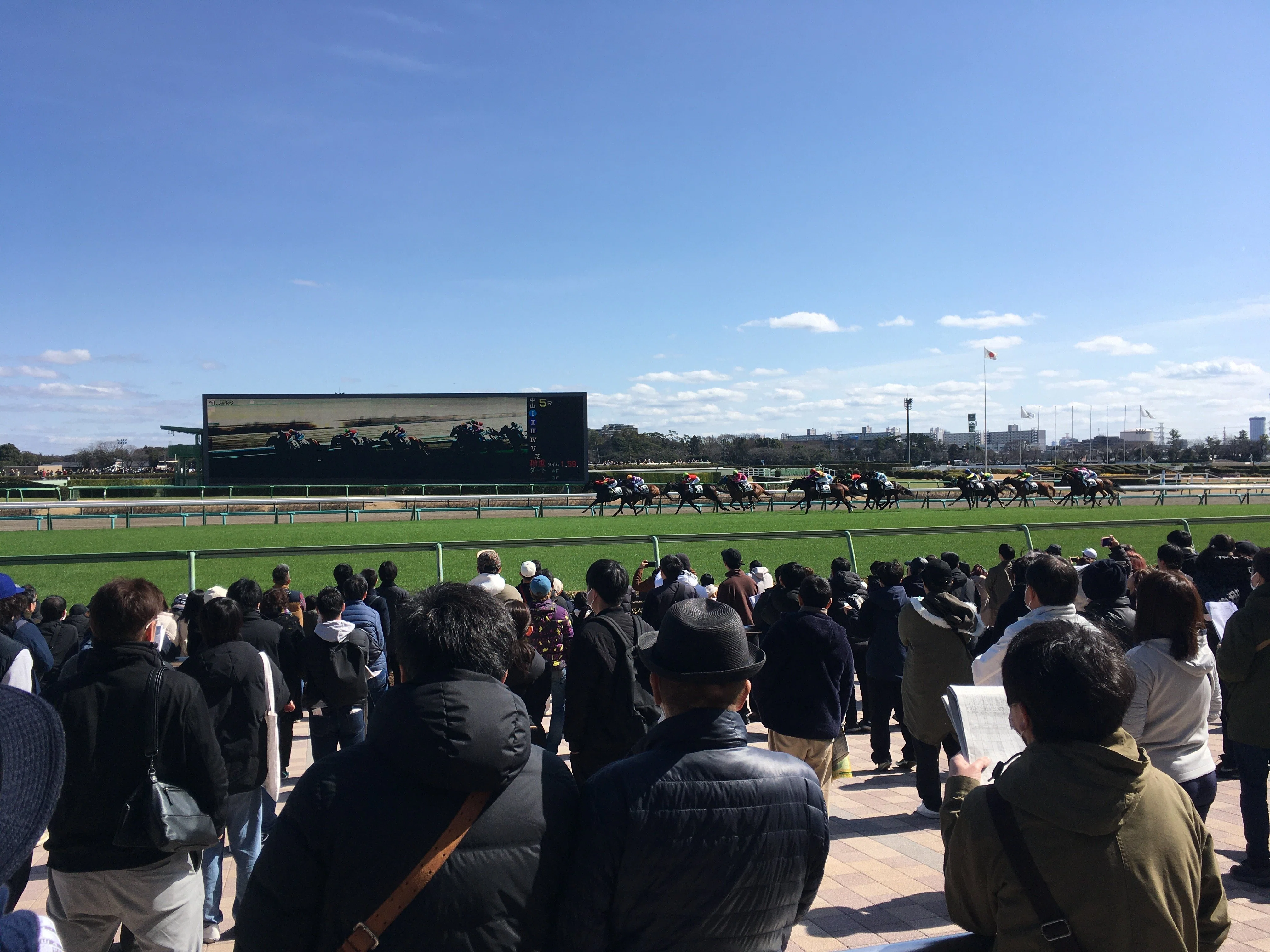 初めての競馬、1000円でもアツくなれる大白熱エンタメだと知る｜雪野