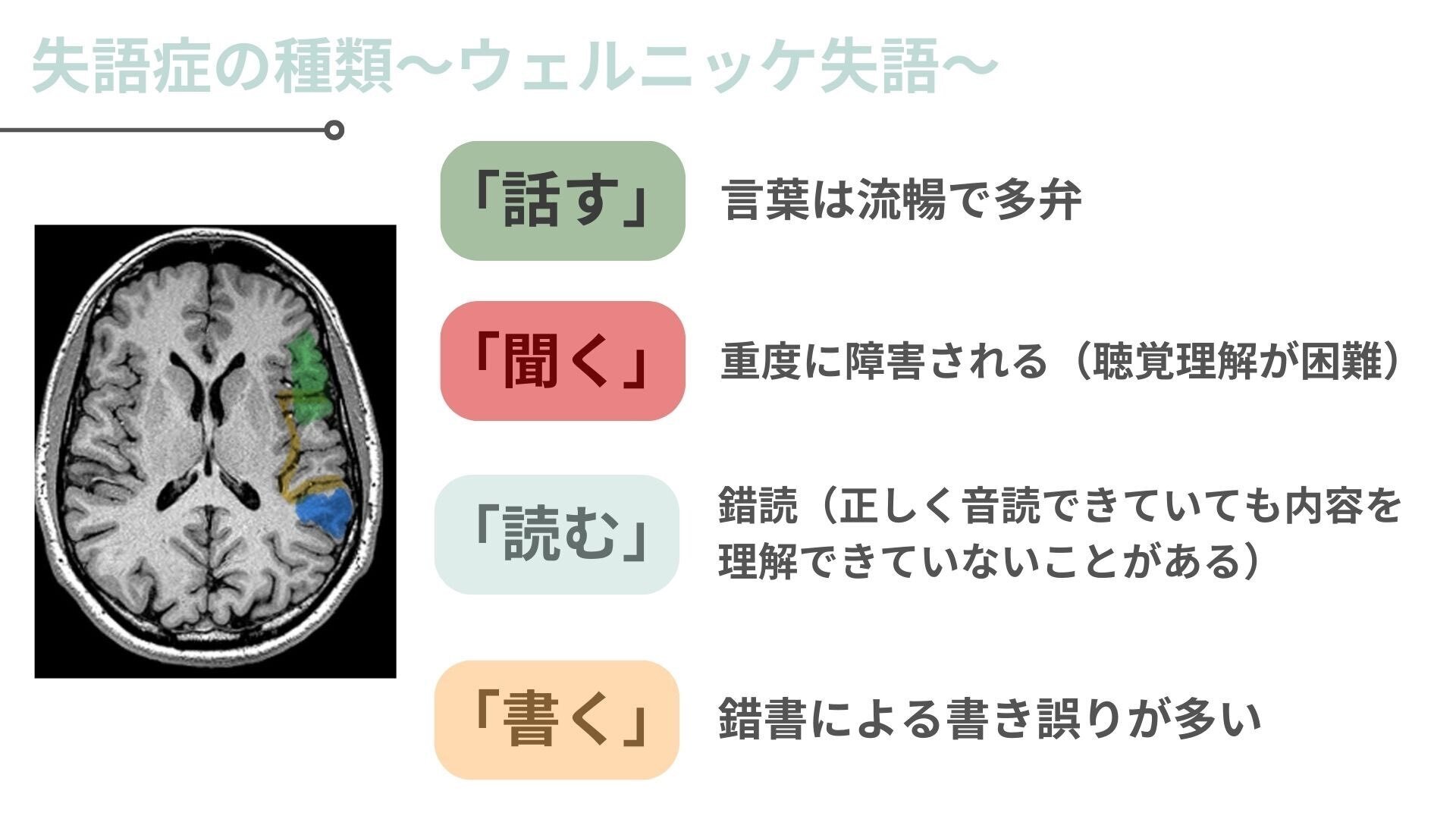 正しく理解できてる？失語症｜Tom@stroke-nursing