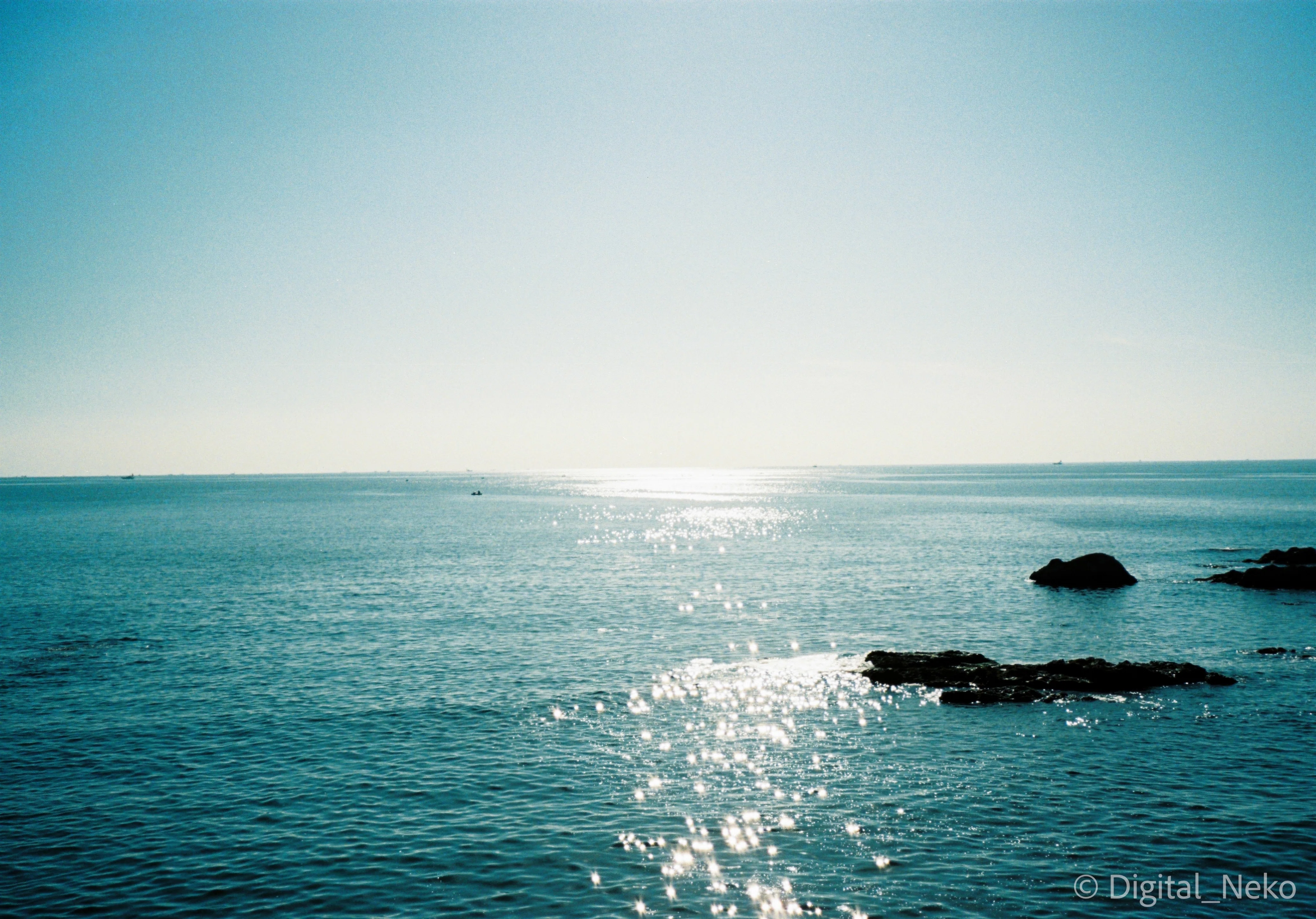 フィルム歩き 葉山の風景 kodak ultramax｜けえる
