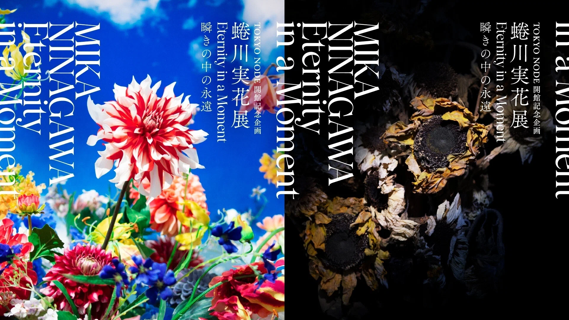 🌺『蜷川実花展 Eternity in a Moment 瞬きの中の永遠』～2024 虎ノ門