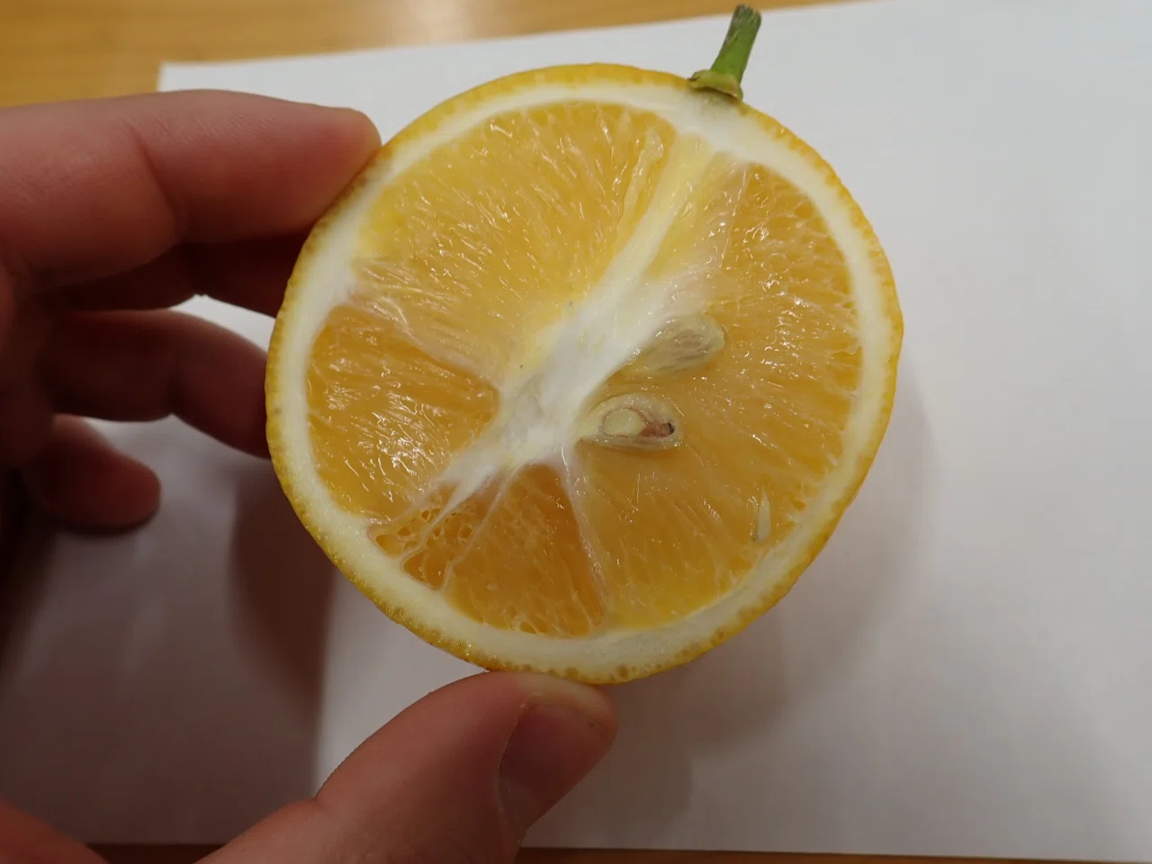 連載】三宅島産レモンを使ってみようシリーズ 第0回「三宅のレモン事情