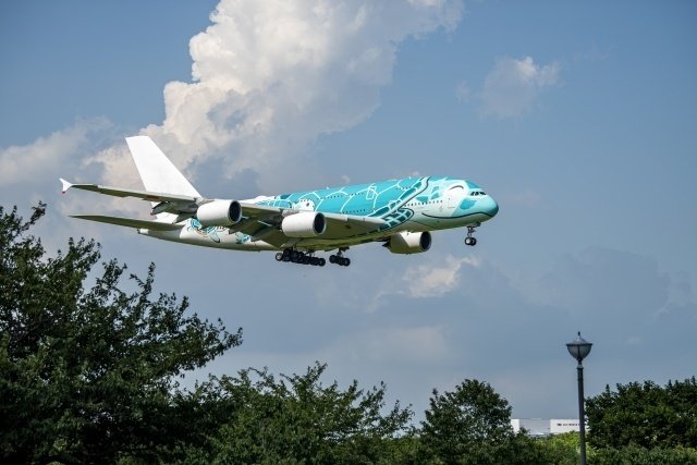 飛行機が苦手なあなたに 飛行恐怖症を克服する本 フライト 旅行 旅客機 海外 Amazon.co.jp: 飛行機が苦手なあなたに: 飛行恐怖症を克服する本