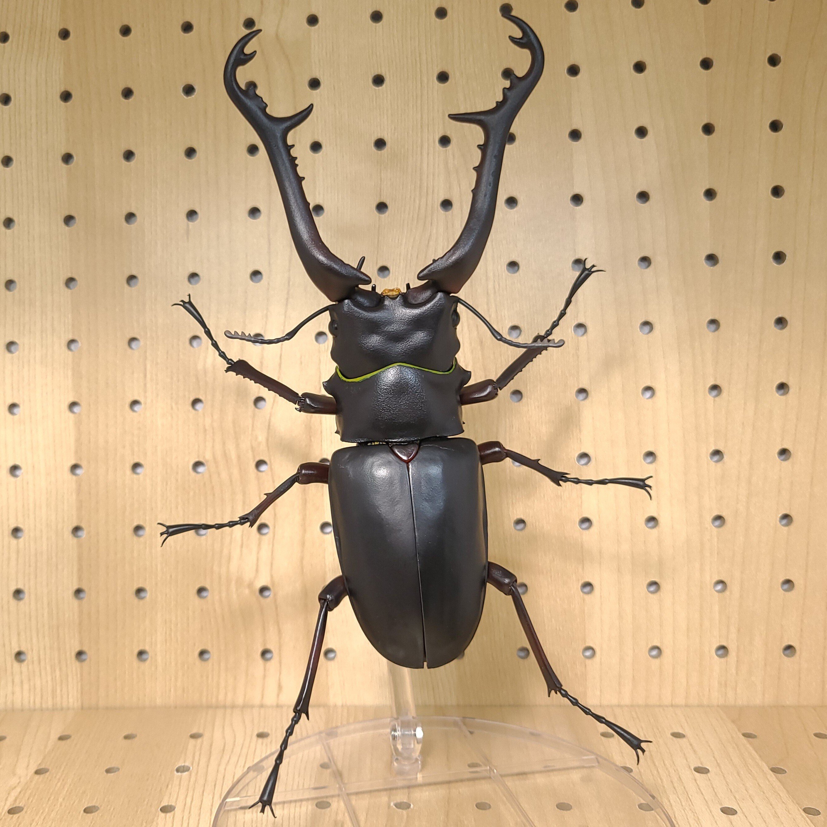 いきもの大図鑑プレミアム ギラファノコギリクワガタ レビュー