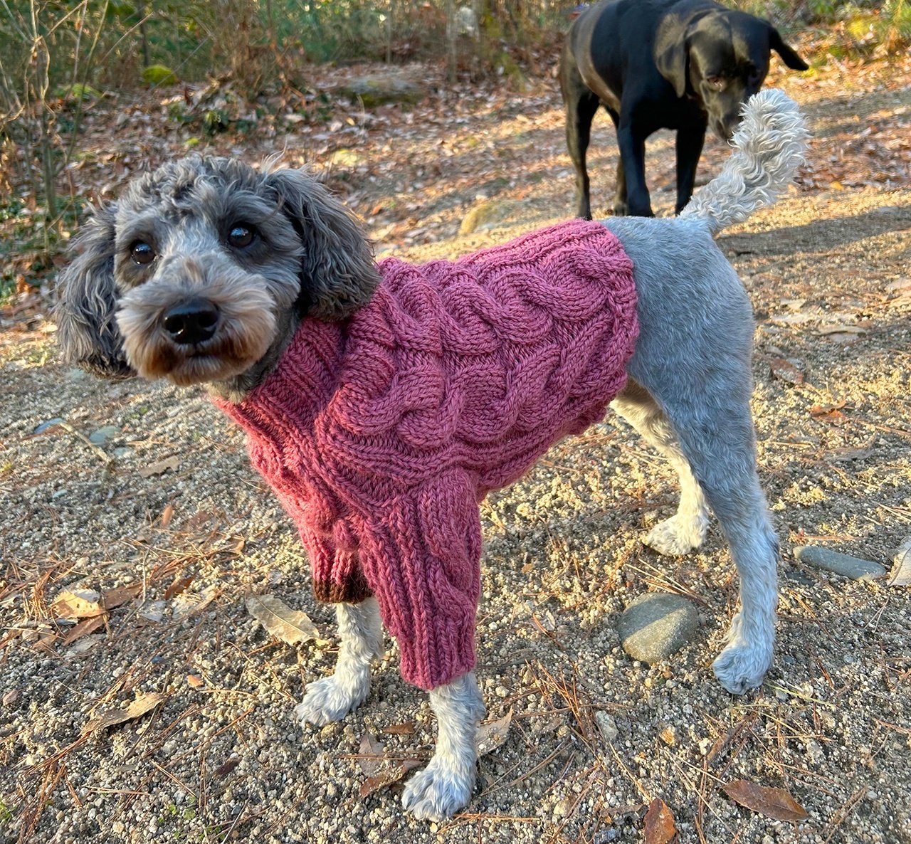 アズノウアズデワンクリスマス受注 AS KNOW AS - アズノウアズデワン キルトデニムPTの通販 by