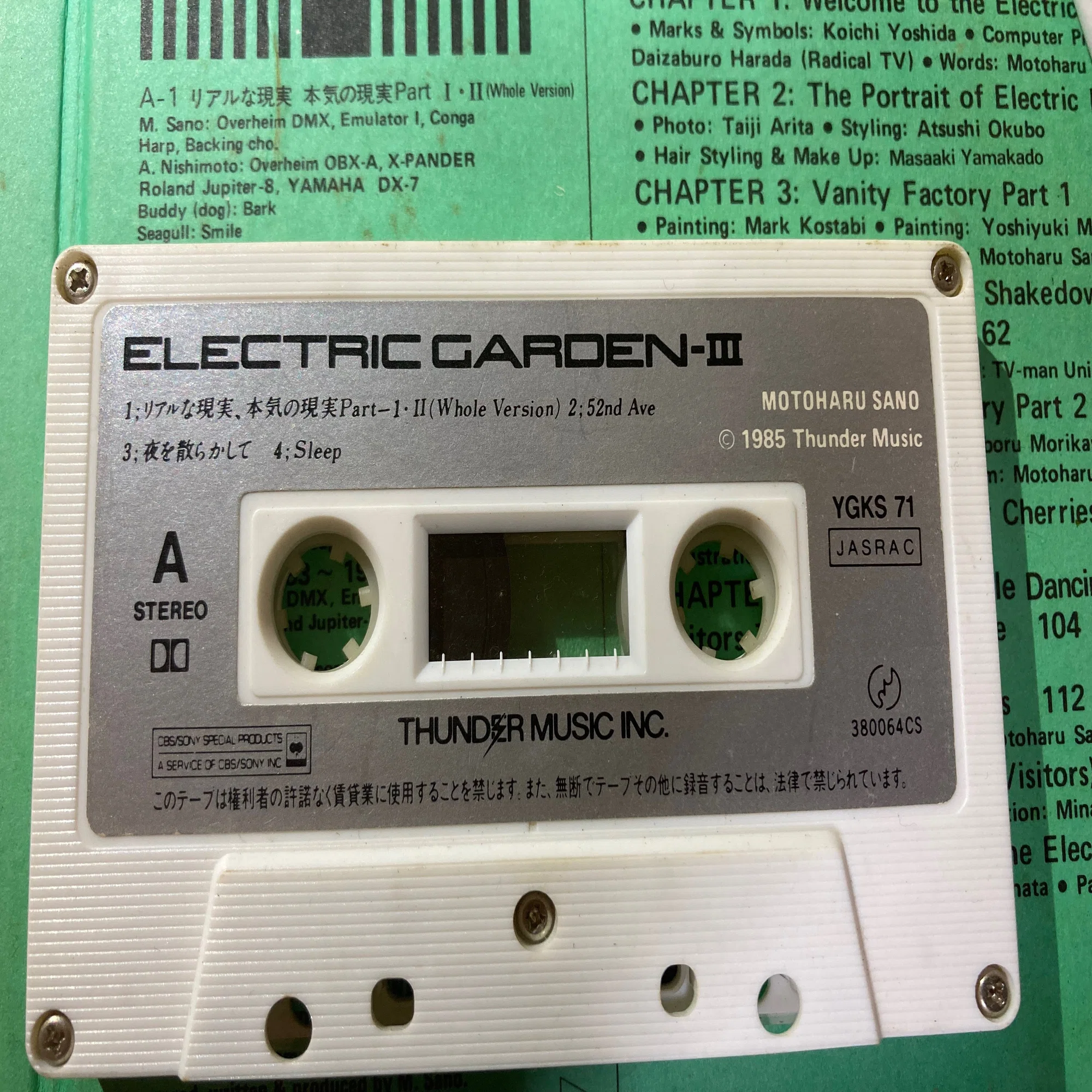佐野元春 ELECTRIC GARDEN｜bluebeat