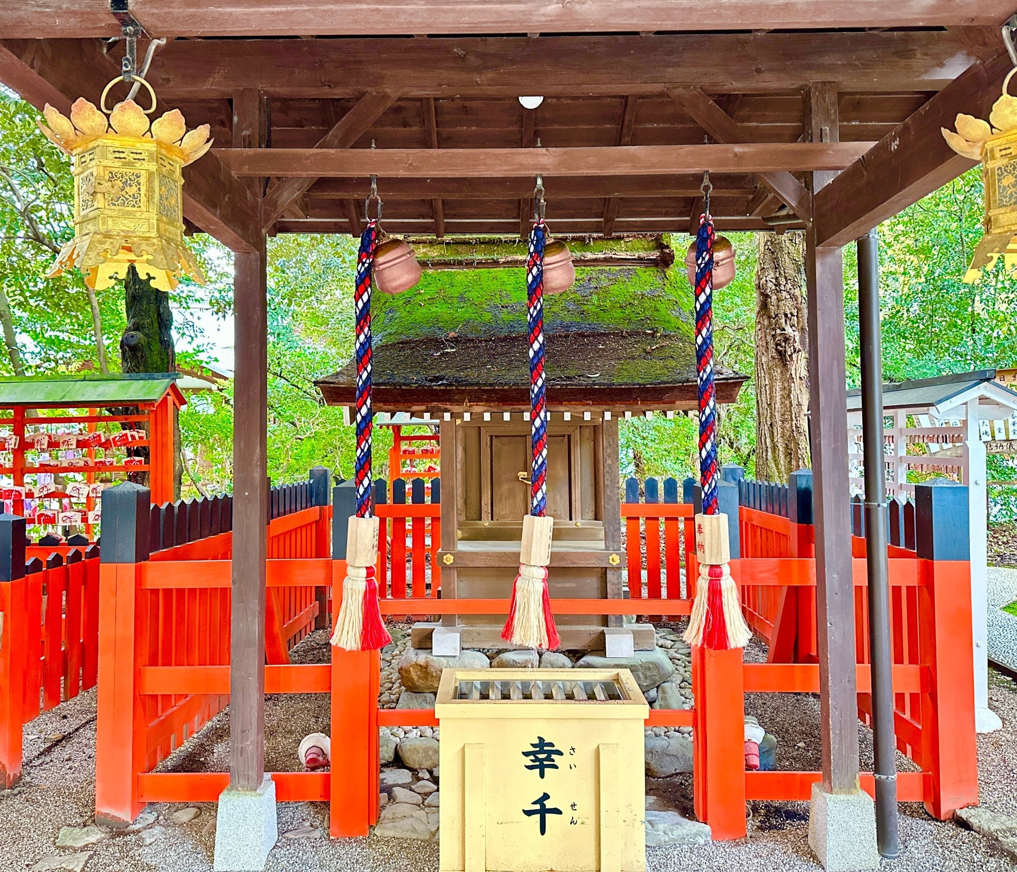 京都時間.jp】第35回 永遠の絆:相生社の縁結びの奇跡|モリモリ先生