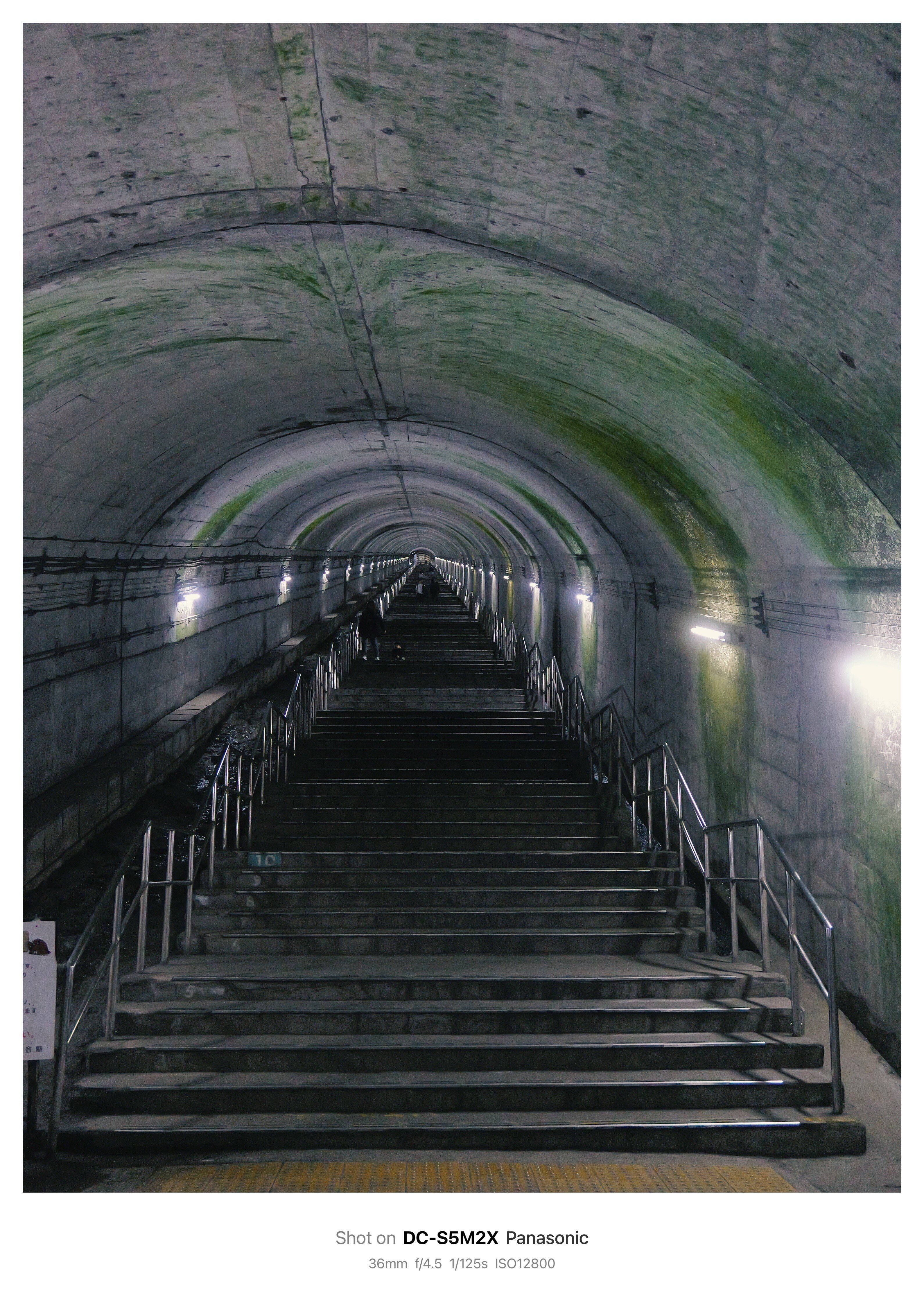 知床　残された神の土地 知床 残された神の土地