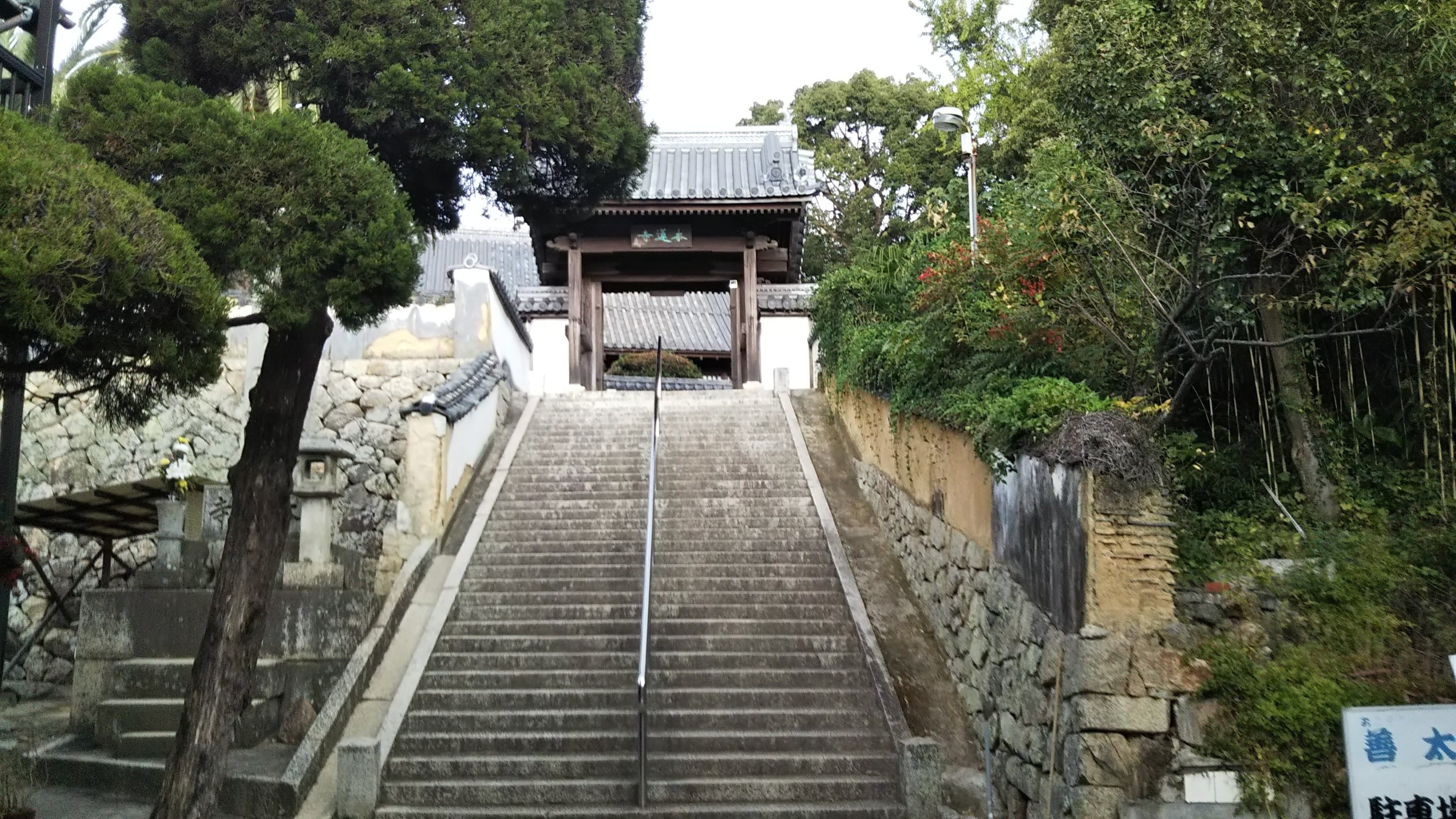 日本のエーゲ海見下ろし「本蓮寺」お堂は重要文化財だらけ【岡山