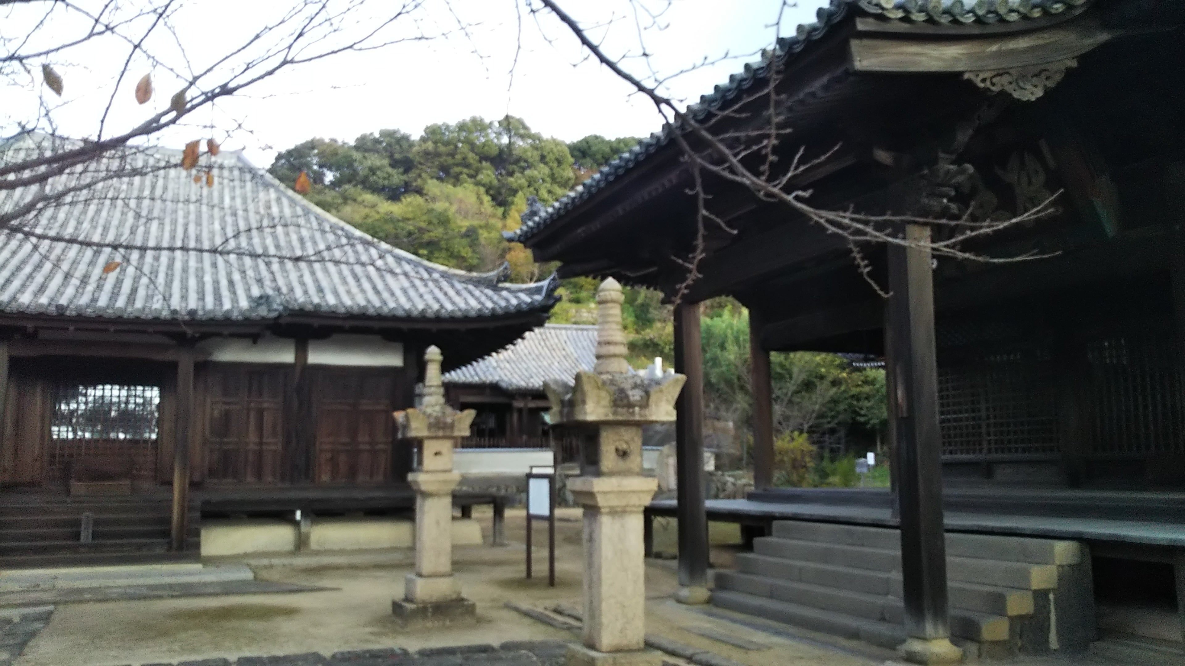 日本のエーゲ海見下ろし「本蓮寺」お堂は重要文化財だらけ【岡山